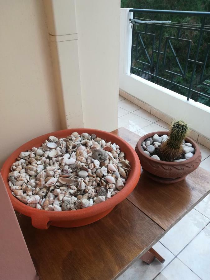 Quiet Spacious Apartment In Nauplion Zewnętrze zdjęcie